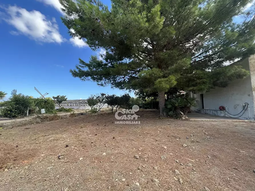 Immagine 25 di Terreno edificabile in vendita  in Contrada Cutusio a Marsala