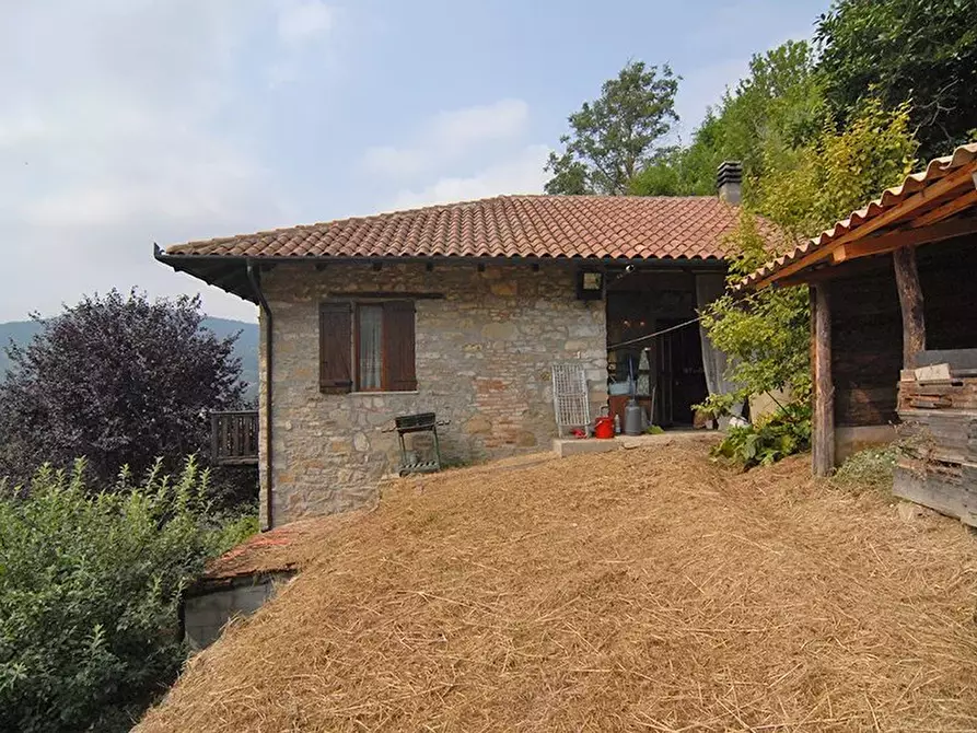 Immagine 2 di Terreno edificabile in vendita  a Bergolo