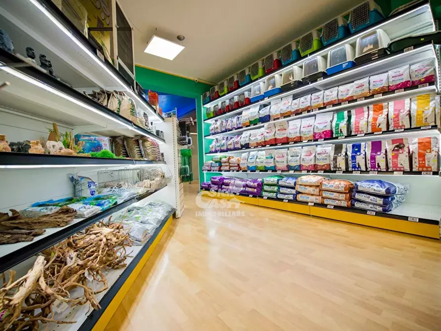 Immagine 10 di Attico in affitto  a Marsala