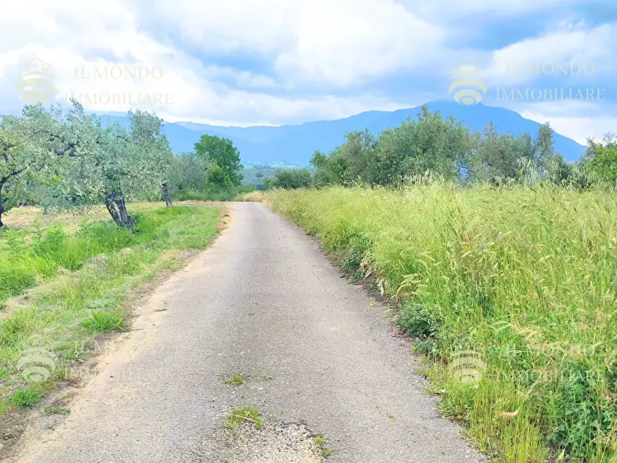 Immagine 3 di Casa bifamiliare in vendita  in Strada di Colle Fagiano a Palombara Sabina