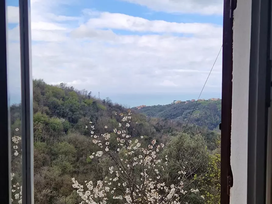 Immagine 16 di Terreno edificabile in vendita  in Sorlana a Lavagna