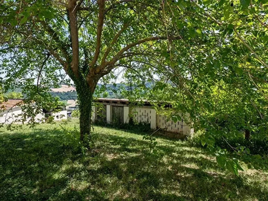 Immagine 22 di Terreno edificabile in vendita  in Serra San Quirico a Serra San Quirico