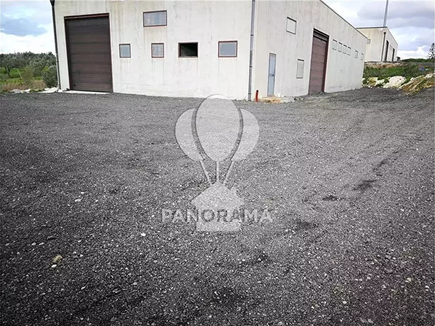 Immagine 15 di Casa bifamiliare in affitto  in 3 Cda Fico a Alcamo