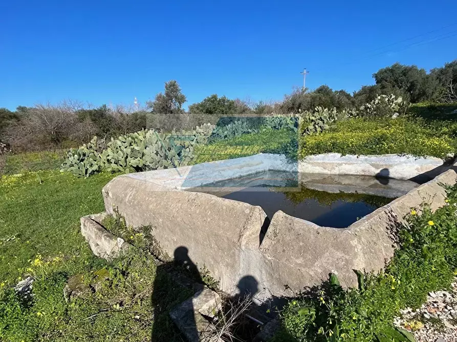 Immagine 9 di Terreno in vendita  in Trav. Mulino Marino a Siracusa