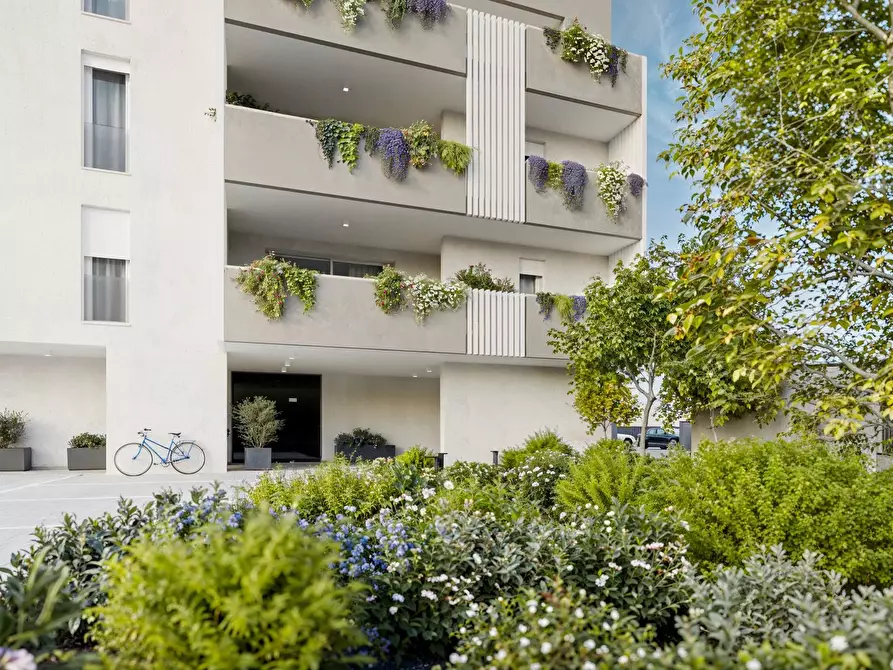 Immagine 2 di Casa trifamiliare in vendita  a Piove Di Sacco