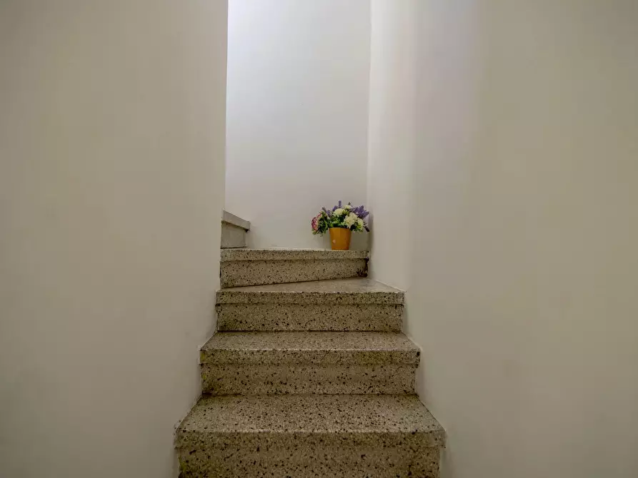 Immagine 27 di Terreno edificabile in vendita  a Bovolenta