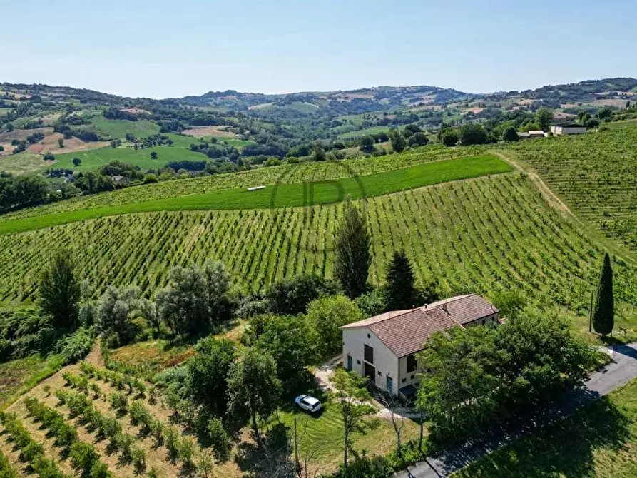 Immagine 8 di Terreno edificabile in vendita  in Serra San Quirico a Serra San Quirico