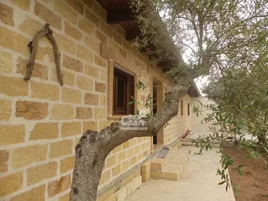 Immagine 4 di Terreno edificabile in affitto  a Marsala