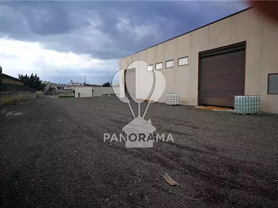 Immagine 9 di Casa bifamiliare in affitto  in 3 Cda Fico a Alcamo