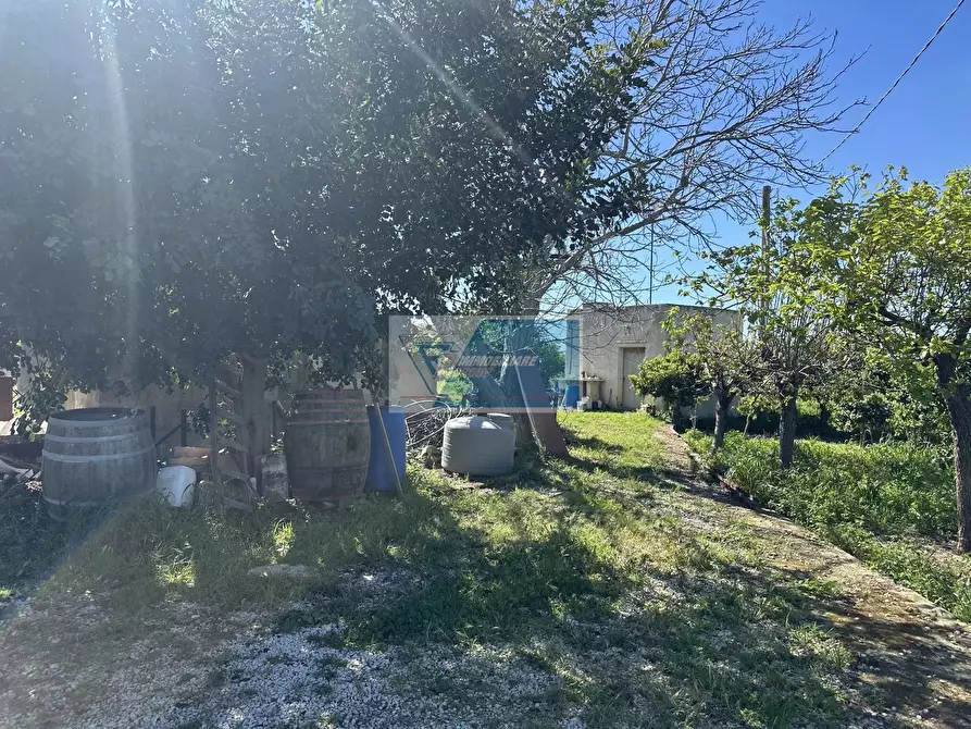 Immagine 5 di Terreno in vendita  a Noto
