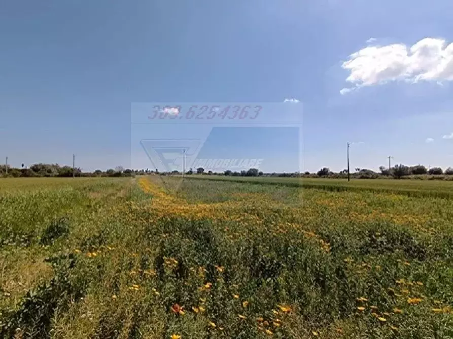 Immagine 13 di Terreno in vendita  in Strada Benali a Siracusa