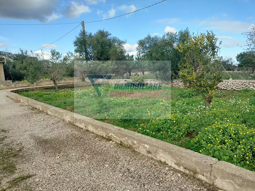 Immagine 13 di Terreno in vendita  in Contrada Biggemi a Buccheri