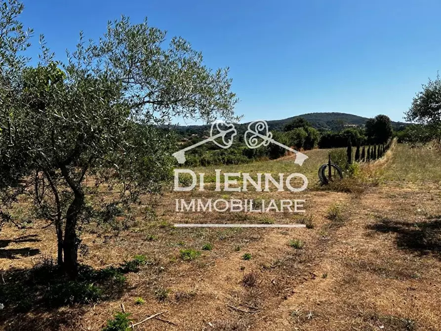 Immagine 49 di Terreno edificabile in vendita  in Strada Valle del Dragone a Arlena Di Castro