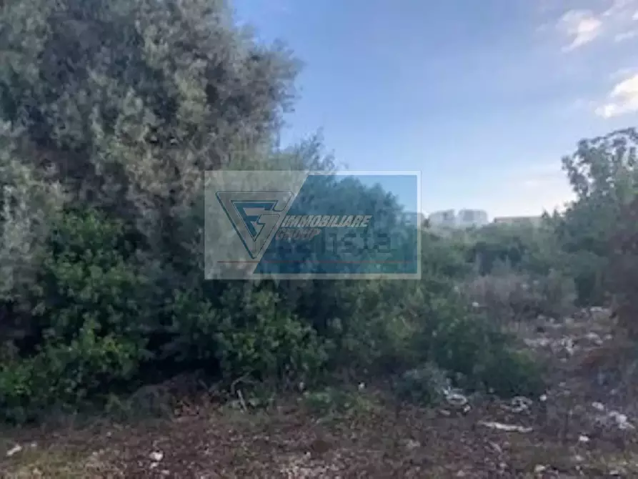 Immagine 6 di Terreno in vendita  in Via Brancati a Buccheri