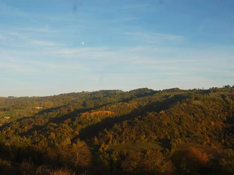 Immagine 13 di Attico in vendita  a Alto