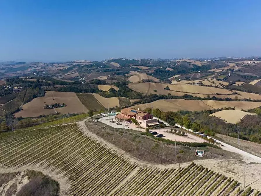 Immagine 7 di Terreno edificabile in vendita  in ripatransone a Ripatransone