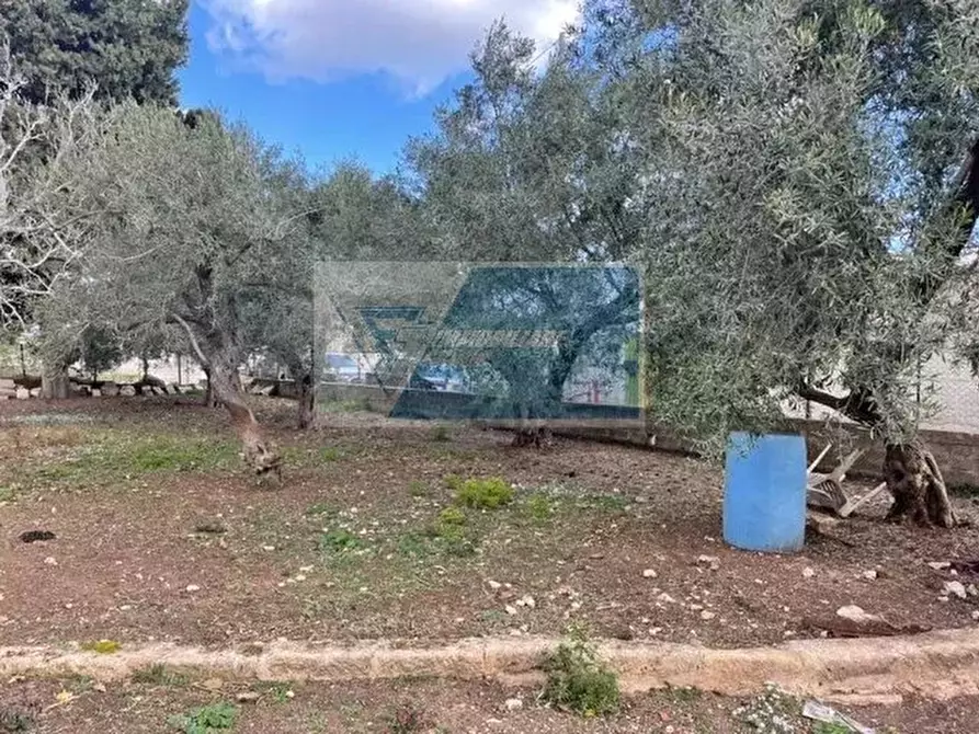 Immagine 5 di Terreno in vendita  in Viale Edoardo Garrone a Buccheri