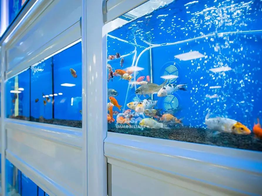 Immagine 4 di Attico in affitto  a Marsala