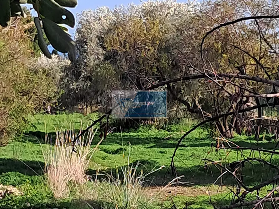 Immagine 1 di Terreno in vendita  in CONTRADA TALA PRIOLO GARGALLO a Buccheri