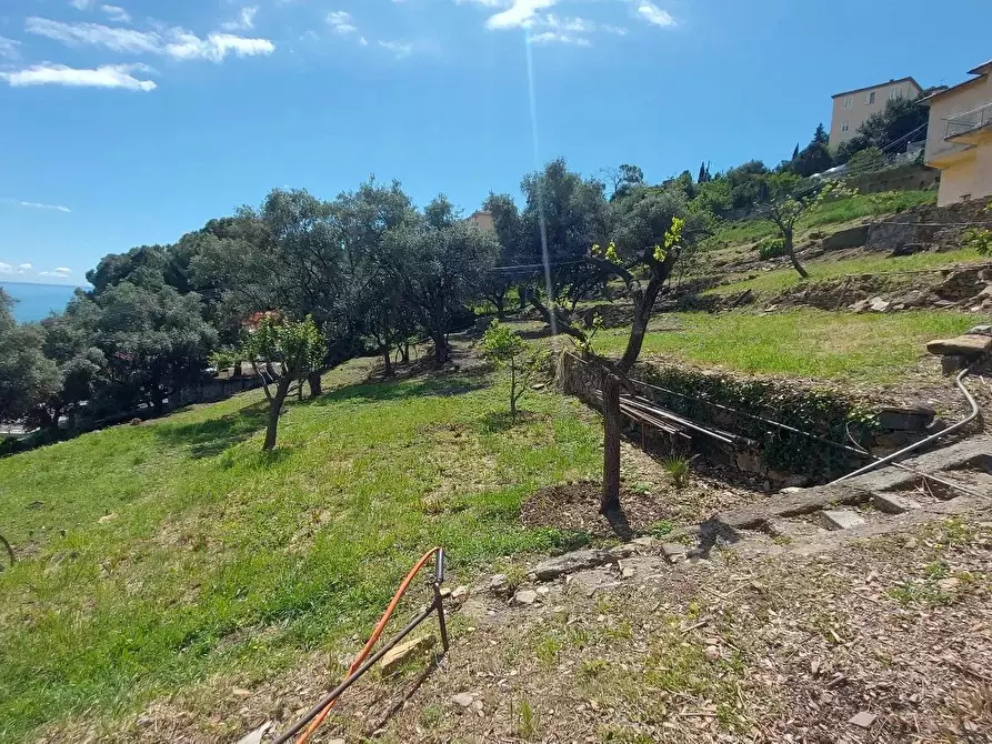 Immagine 3 di Terreno edificabile in vendita  a San Remo