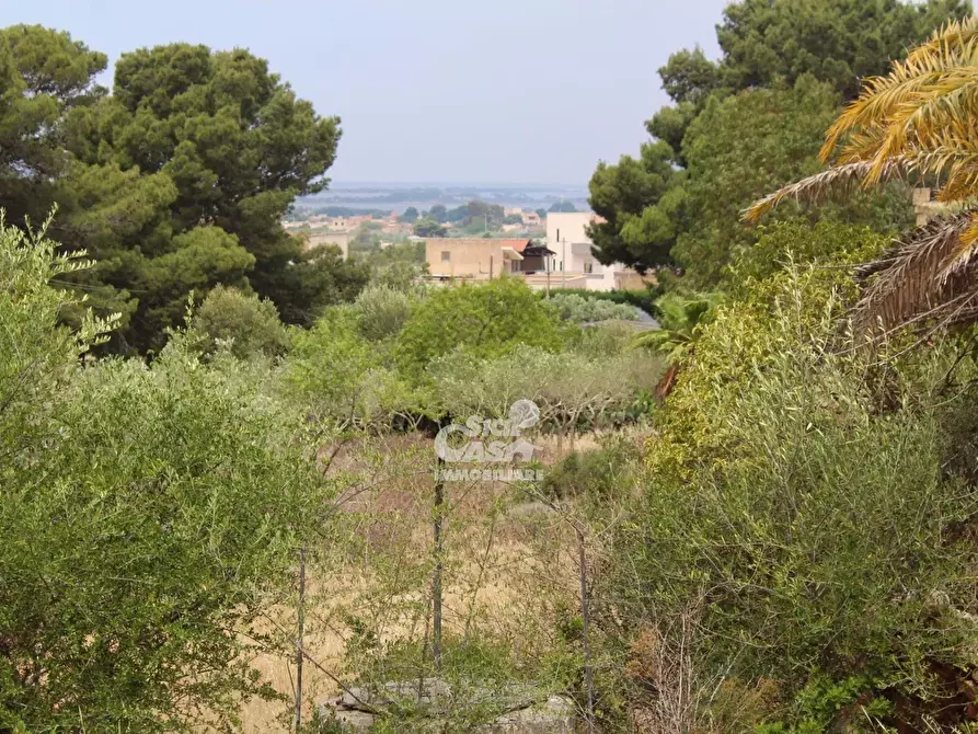 Immagine 9 di Terreno edificabile in vendita  a Marsala