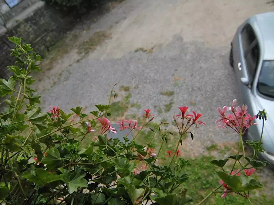 Immagine 5 di Casa trifamiliare in vendita  a Barolo