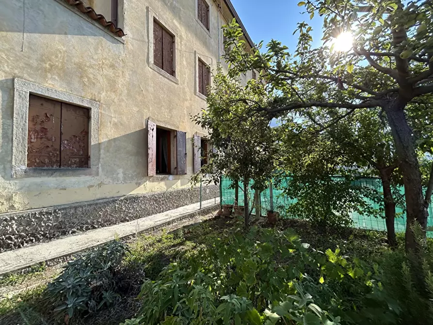 Immagine 44 di Terreno edificabile in vendita  a Cimadolmo