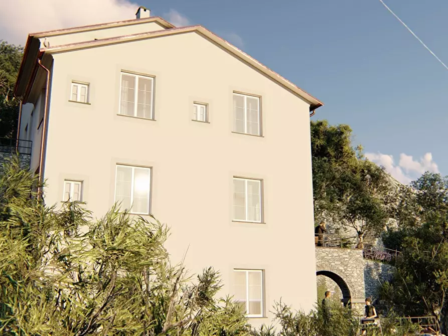 Immagine 3 di Terreno edificabile in vendita  in San Pietro de Rovereto a Avegno