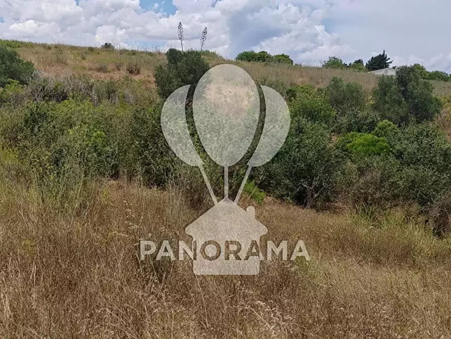 Immagine 12 di Terreno in vendita  in SS 113 Settentrionale Sicula a Partinico