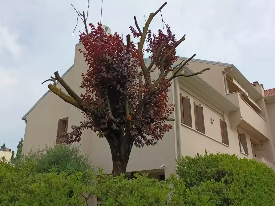 Immagine 30 di Terreno edificabile in vendita  a Conegliano