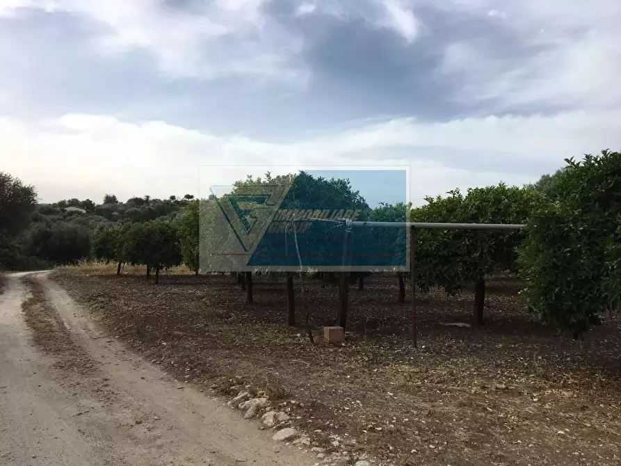Immagine 8 di Terreno in vendita  a Siracusa