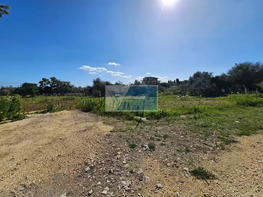 Immagine 5 di Terreno in vendita  a Buccheri