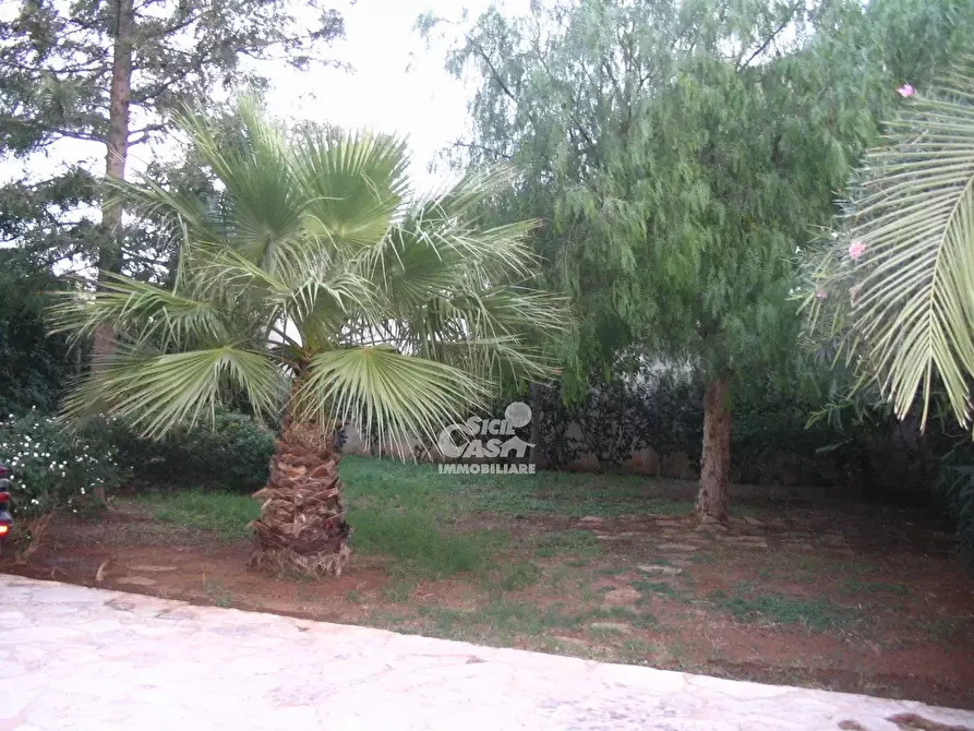 Immagine 9 di Terreno edificabile in vendita  a Marsala