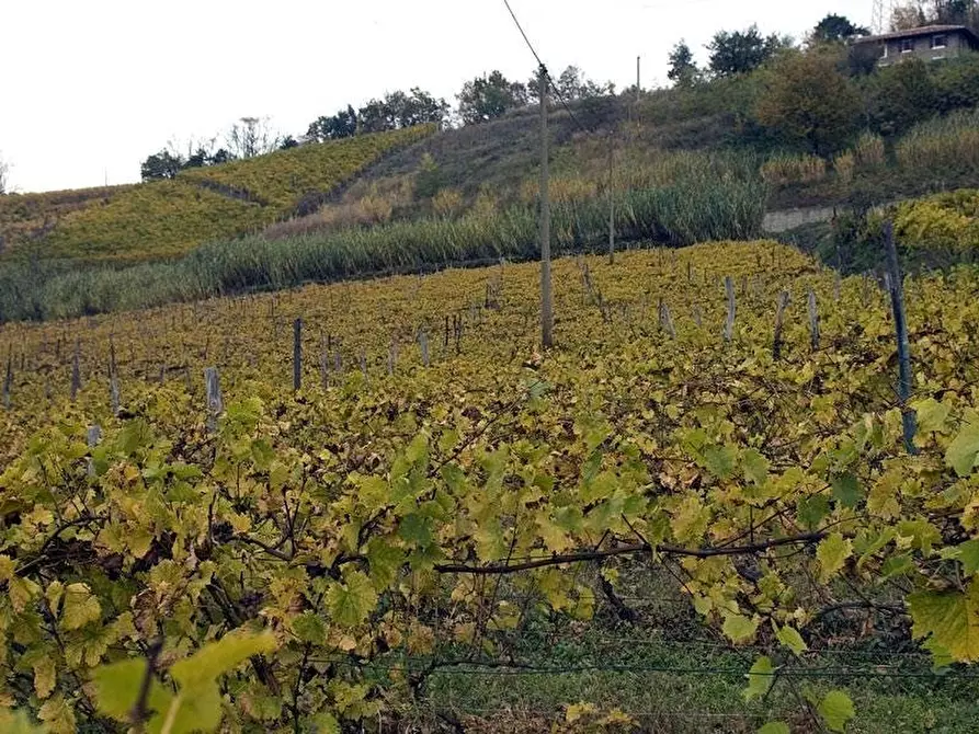Immagine 20 di Terreno edificabile in vendita  a Santo Stefano Belbo