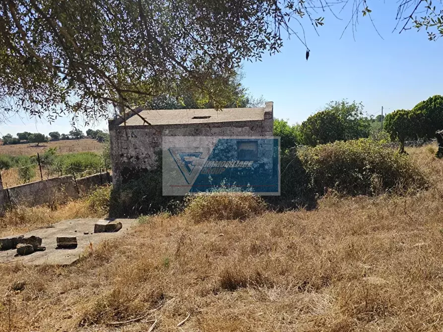 Immagine 5 di Terreno in vendita  a Avola
