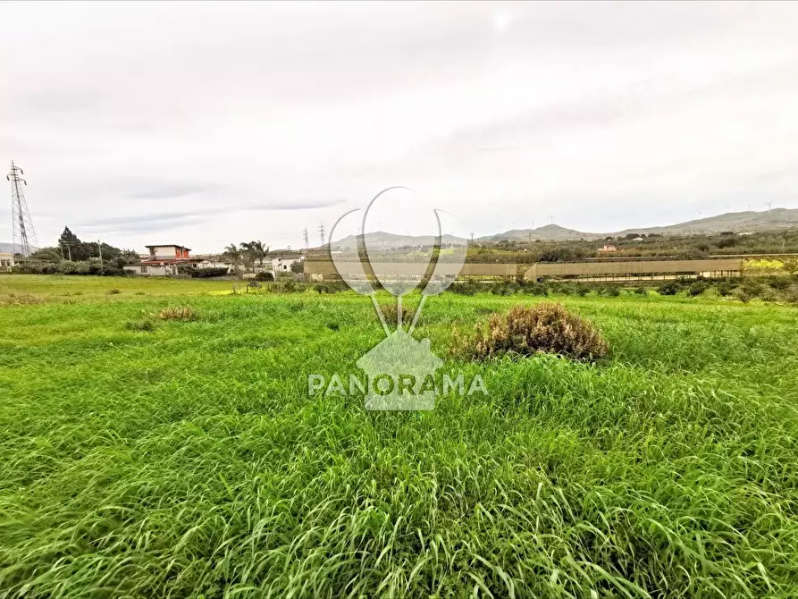 Immagine 3 di Terreno in vendita  in B&B falconeria a Partinico