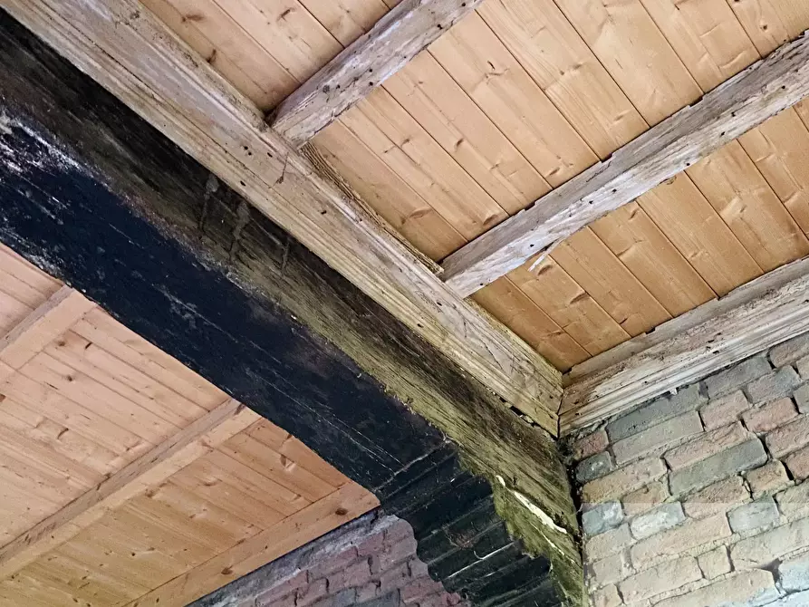 Immagine 7 di Terreno edificabile in vendita  a Bassignana