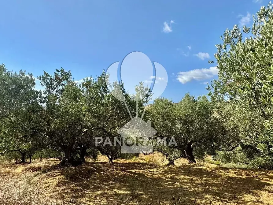 Immagine 33 di Terreno edificabile in vendita  in Contrada Casale a Alcamo