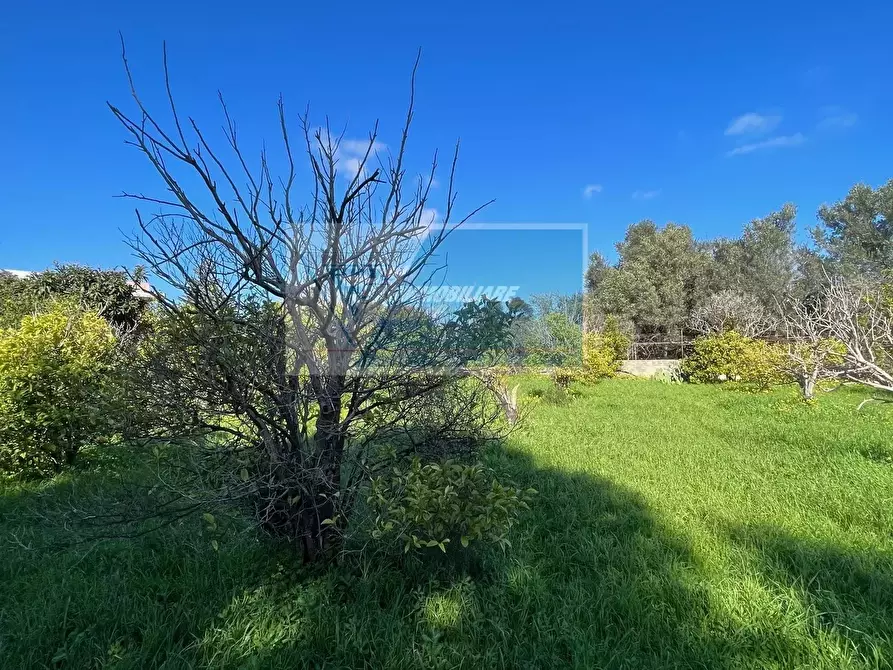 Immagine 5 di Terreno in vendita  in Via Del Pettirosso a Siracusa