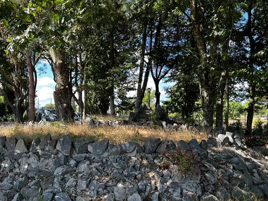 Immagine 55 di Terreno edificabile in vendita  in Strada Valle del Dragone a Arlena Di Castro