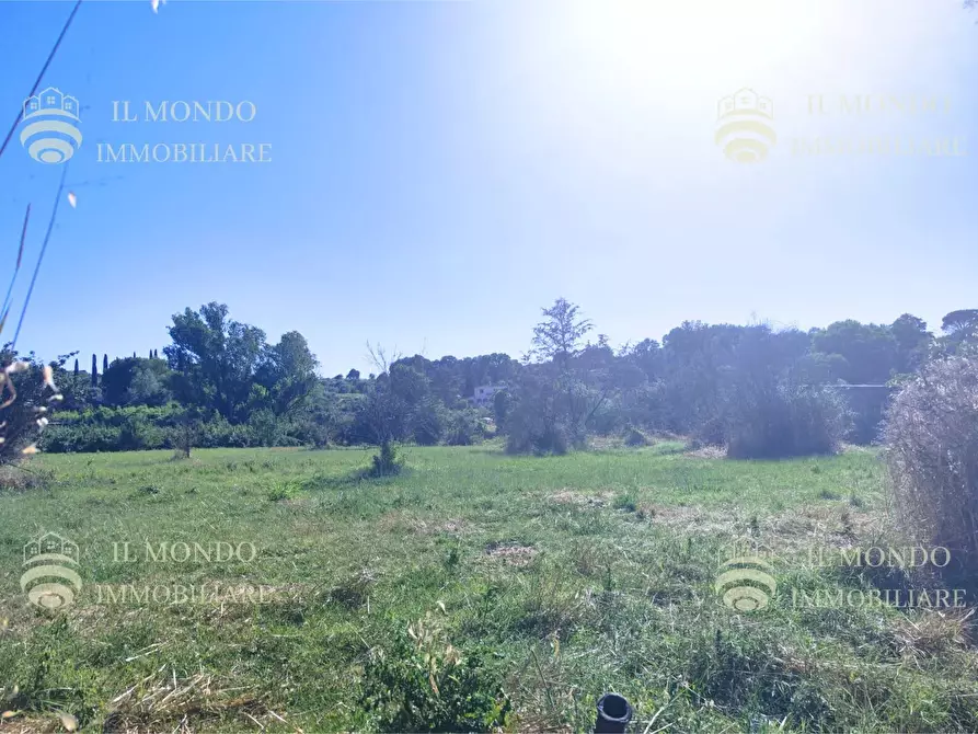 Immagine 1 di Terreno in vendita  in Località Albanetta a Palombara Sabina