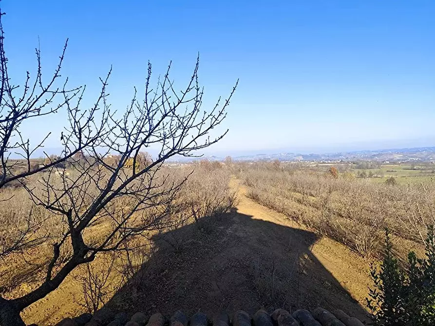 Immagine 12 di Terreno edificabile in vendita  a Carrù