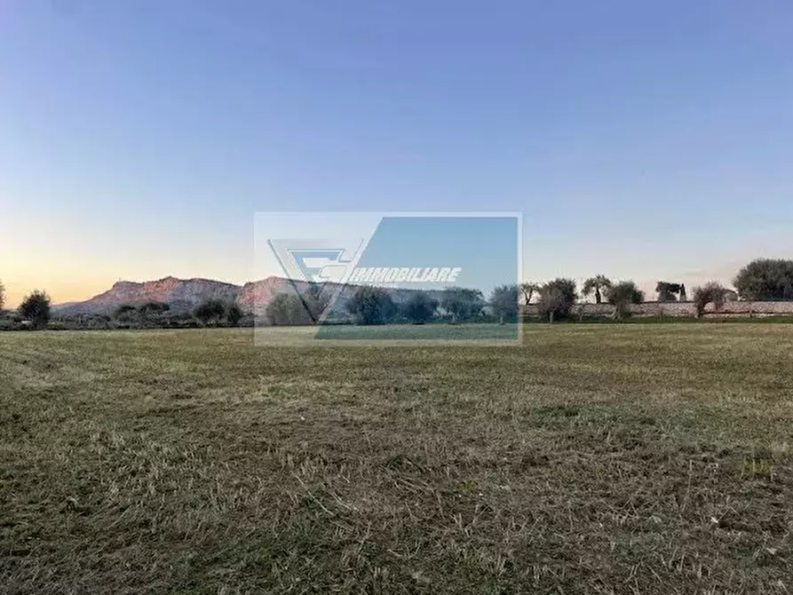 Immagine 5 di Terreno in vendita  in C.da Carancino a Siracusa