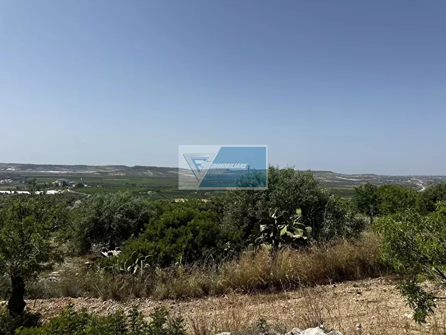 Immagine 11 di Terreno in vendita  a Noto