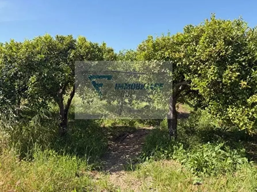 Immagine 17 di Terreno in vendita  in Strada Tremmilia a Siracusa