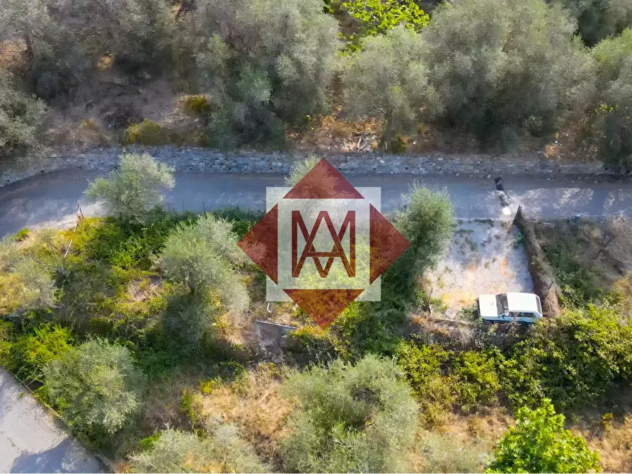 Immagine 3 di Casa trifamiliare in vendita  in Case Baussi, 39 a Ventimiglia