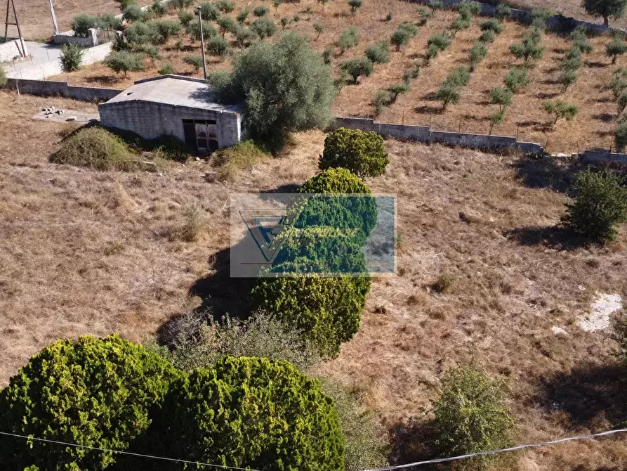 Immagine 24 di Terreno in vendita  a Avola