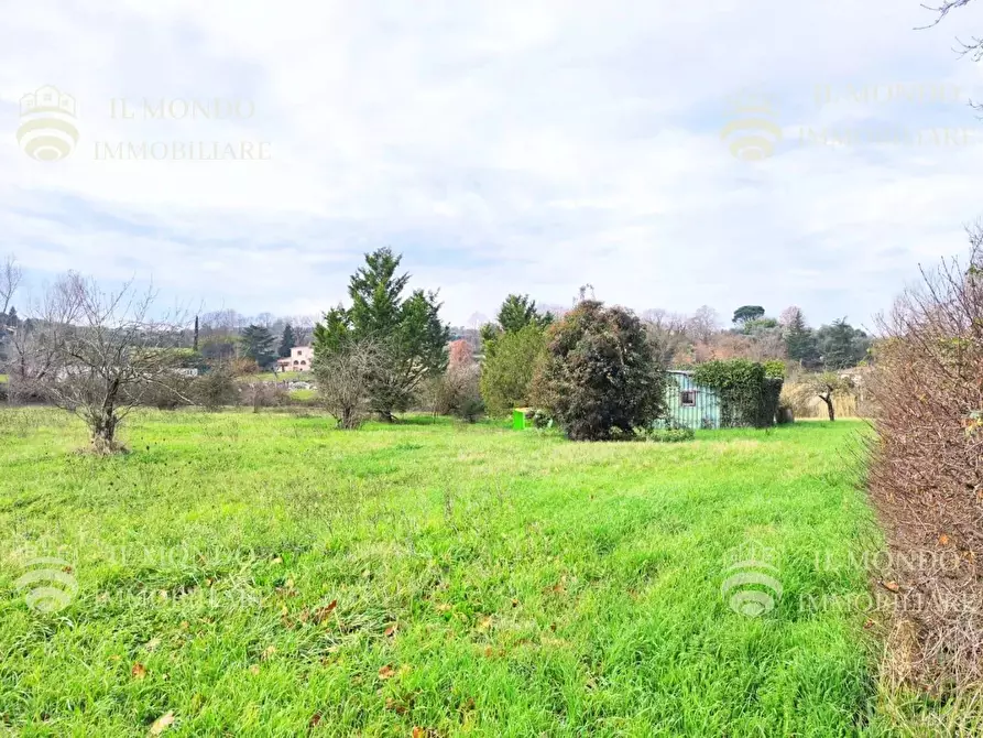 Immagine 5 di Terreno in vendita  in Località Albanetta, snc. a Palombara Sabina