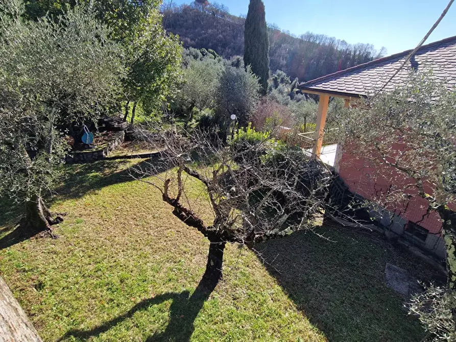 Immagine 14 di Terreno edificabile in vendita  in Via Domenico Canata a Avegno