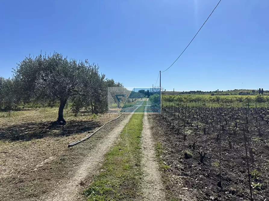 Immagine 16 di Terreno in vendita  a Noto